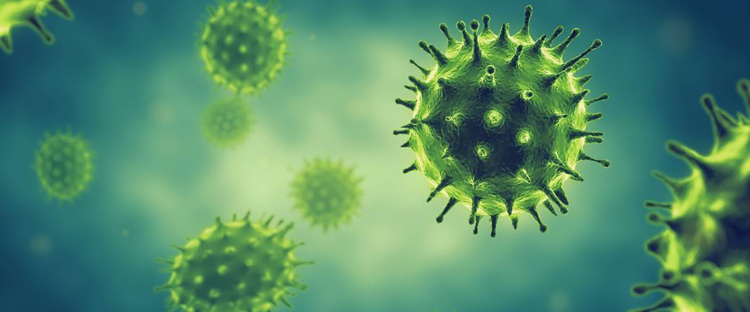 Üç farklı türde ortaya çıkıyor! Konya’da artan salgına karşı uzmandan kritik uyarı 1